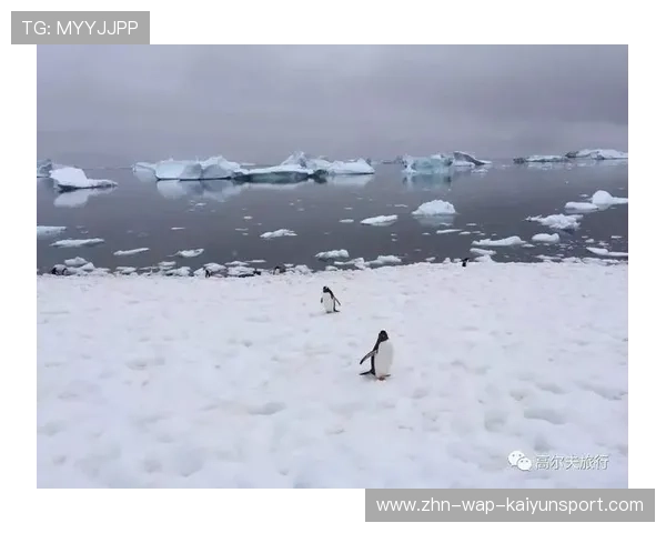 极地赛事成网红！南极高尔夫挑战赛背后的故事曝光